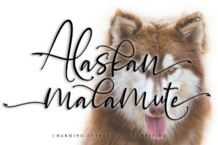Alaskan Malamute: A Script Handwritten Font for Timeless Branding
