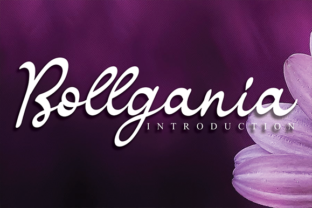 Bollgania Script Handwritten Font for Elegant Headlines