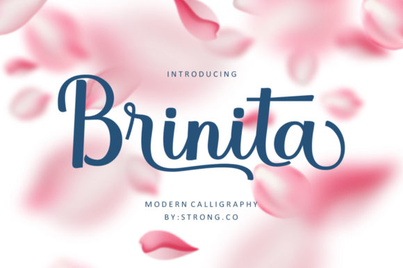 Brinita Script Handwritten Font for Elegant Branding