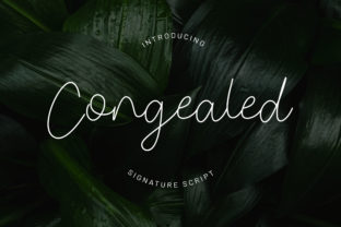 Congealed: A Script Handwritten Font That Delivers Elegant Clarity