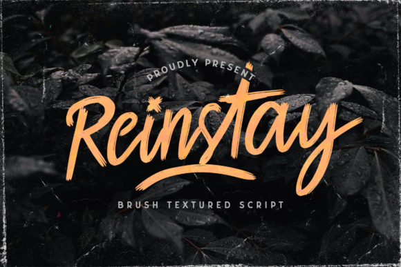 Reinstay: A Unique Script Handwritten Font for Creative Designers