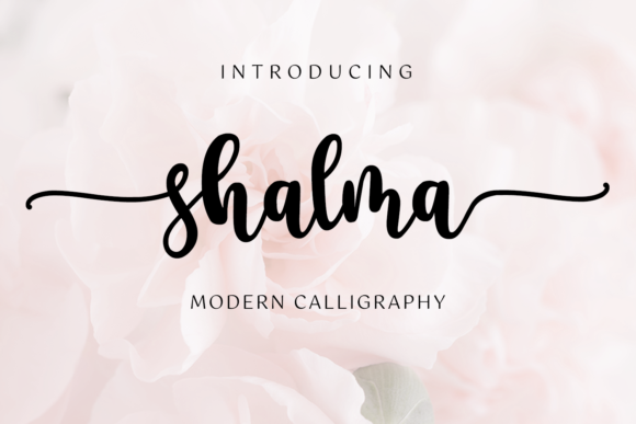 Shalma: The Bold Handwritten Font for Modern Web Design