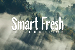 Smart Fresh: A Friendly Script Font for Creative Projects